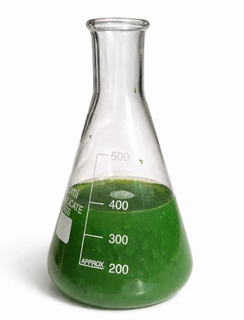 Spirulina Third Party Manufacturer