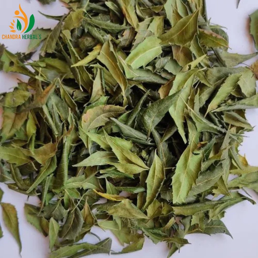 Dried Neem Leaves