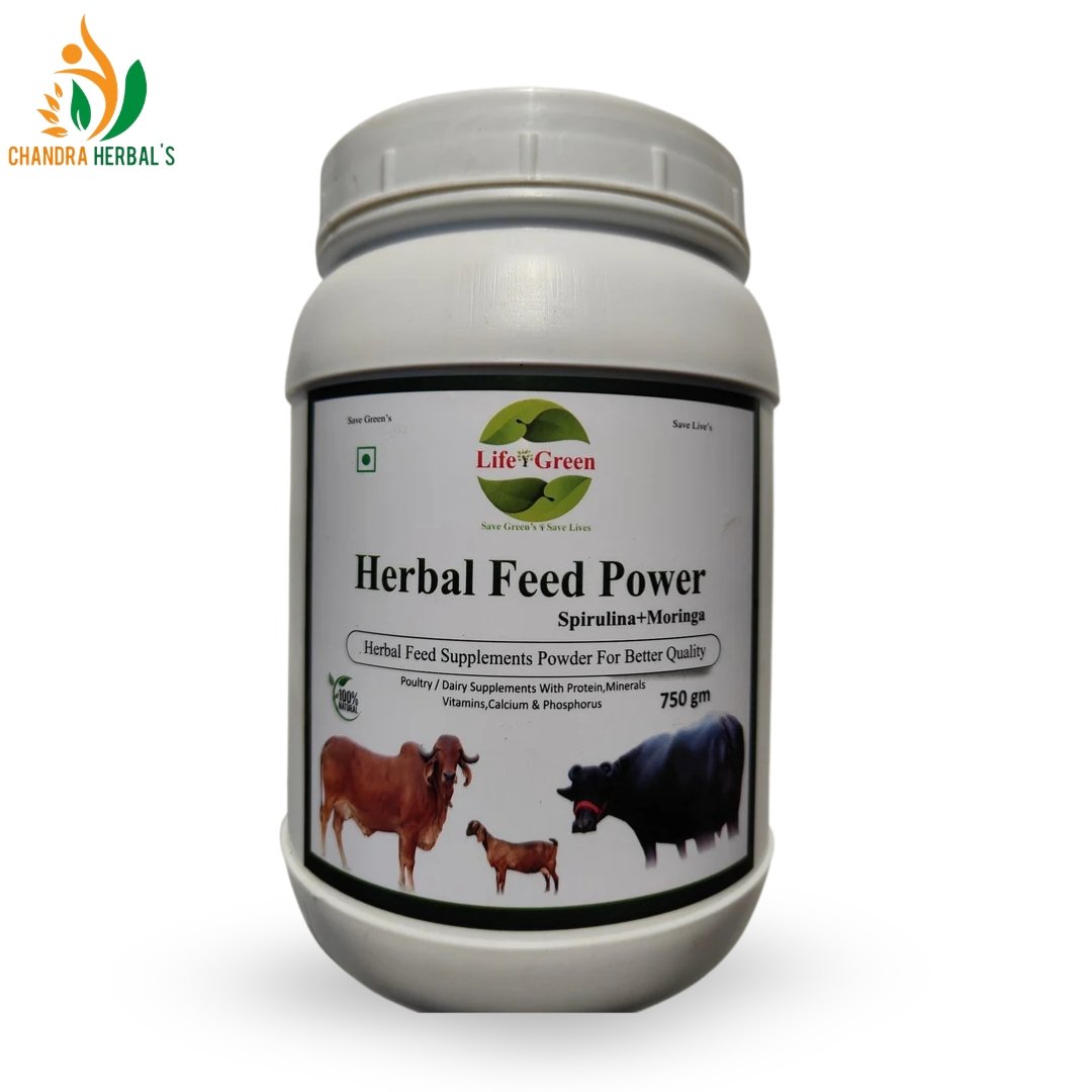 Feed & Animal Nutrition Products