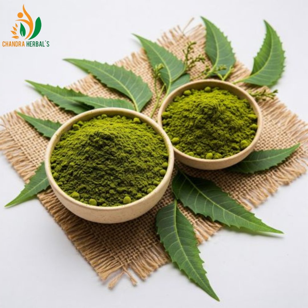 Organic Neem Powder