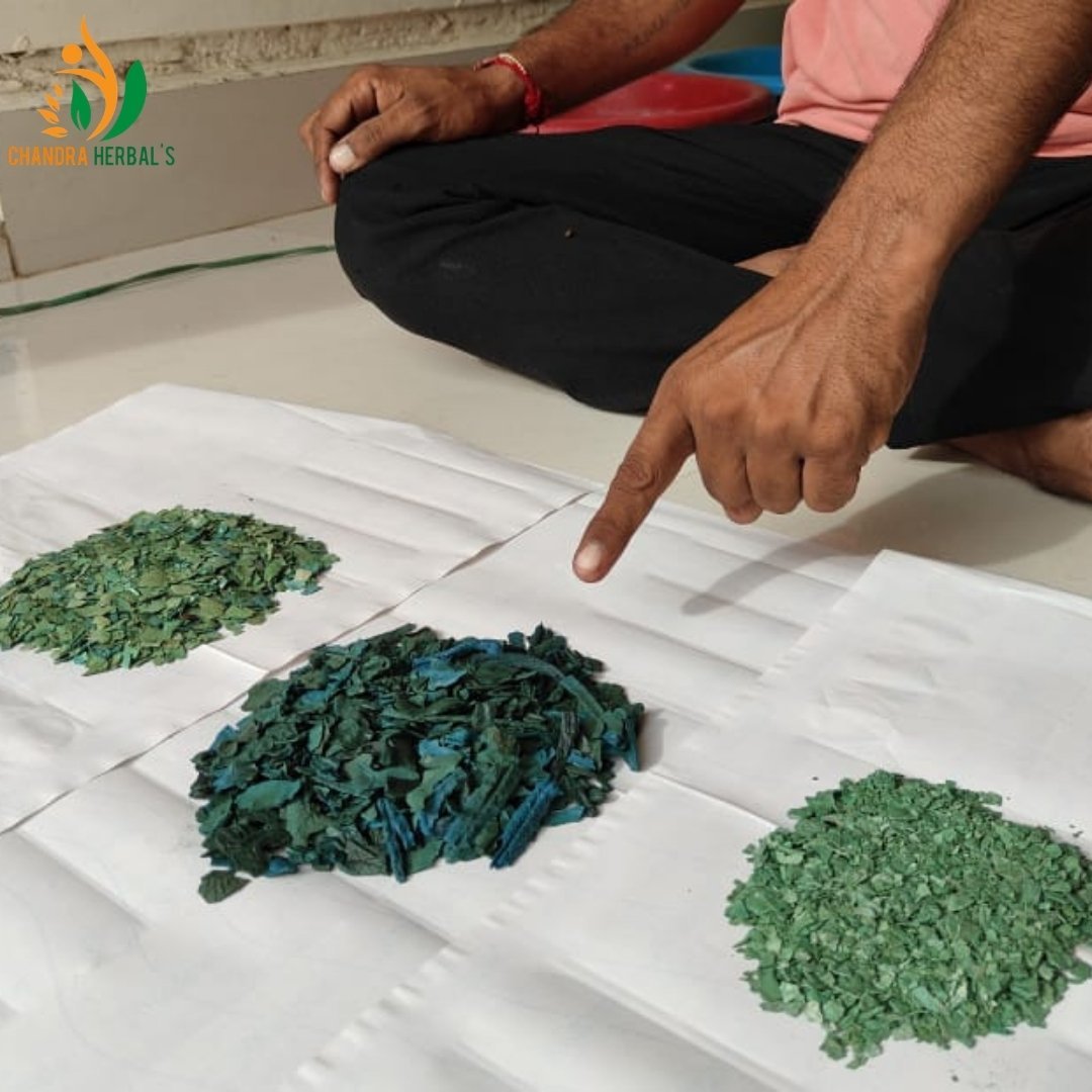 Spirulina Third Party Manufacturer